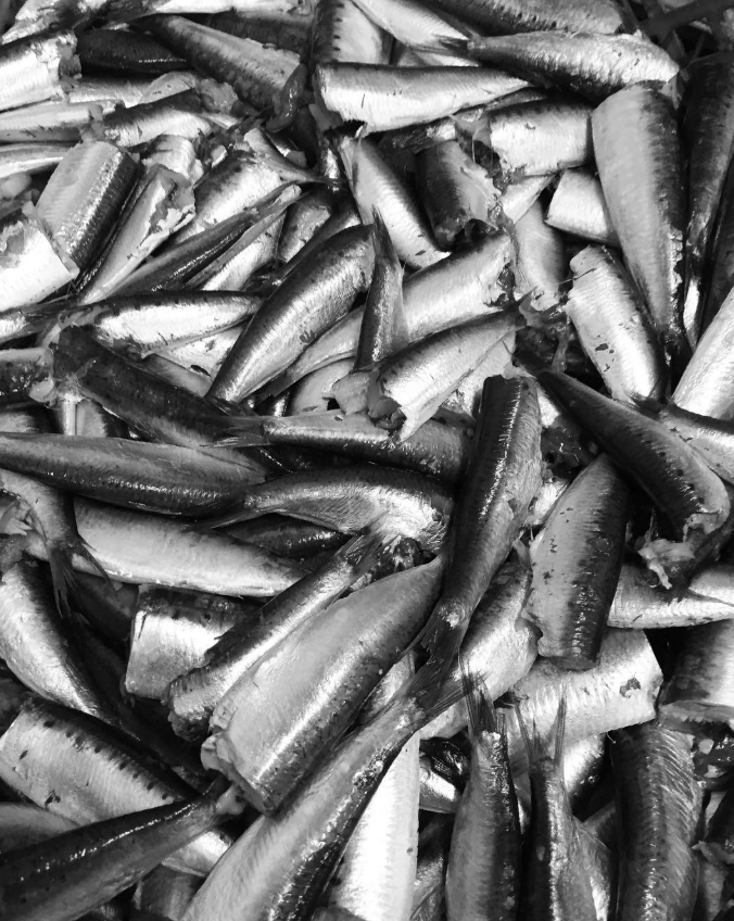 Açor Portuguese Sardines in Olive Oil-120gr